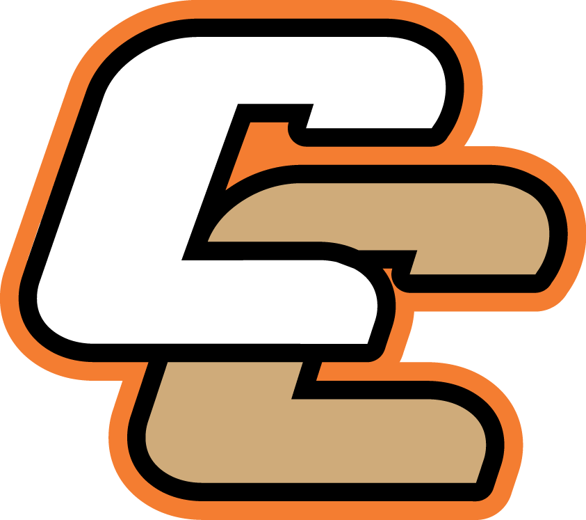 Canberra Cavalry 2010-Pres Secondary Logo iron on transfers for T-shirts